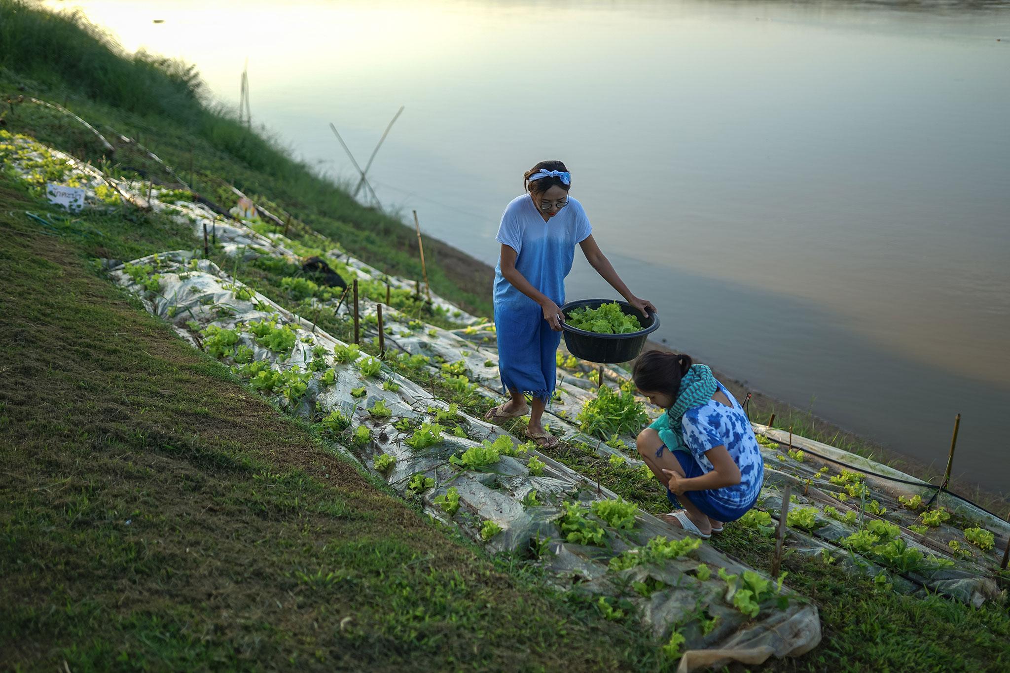 Chiangkhan River Mountain Resort Chiang Khan Exterior photo